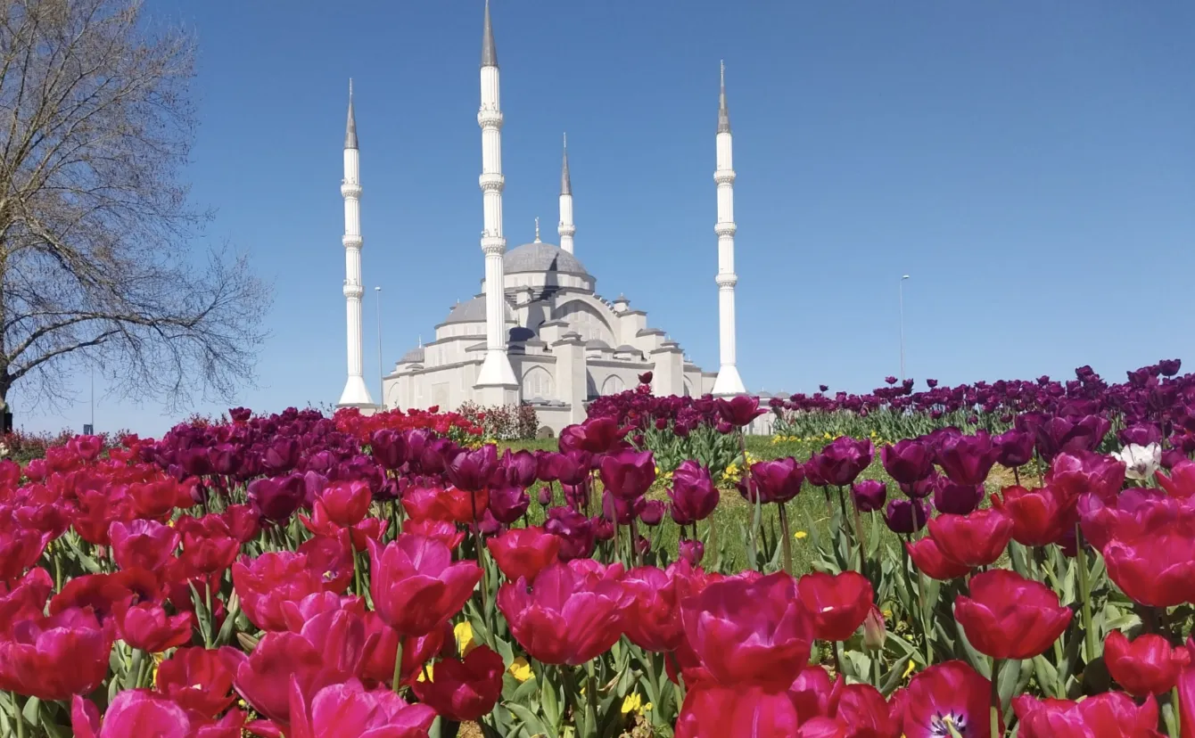 Ekran Resmi 2026 02 03 155757