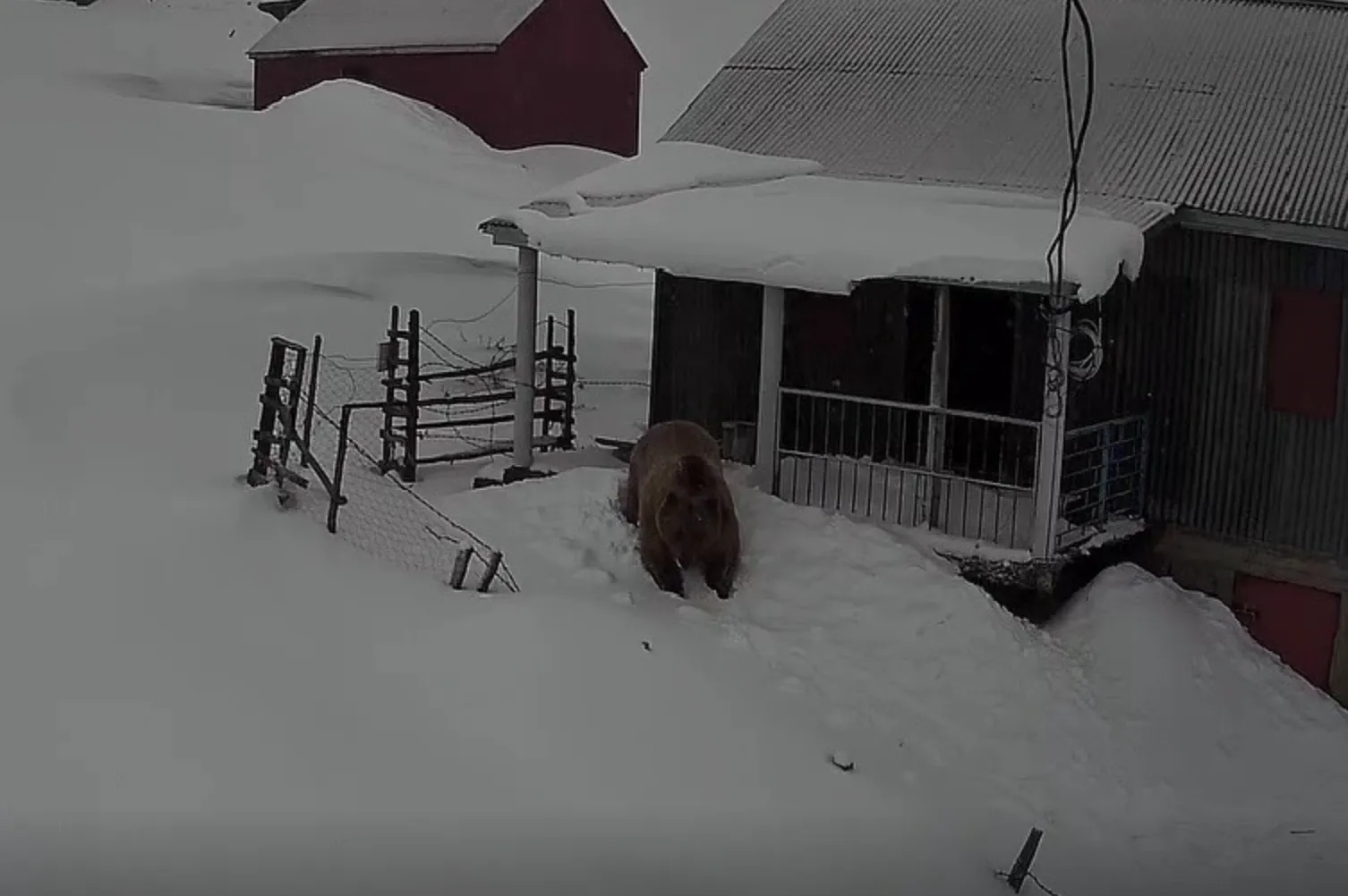 Ekran Resmi 2026 02 10 111554