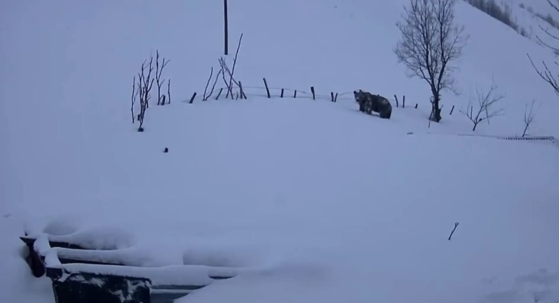 Ekran Resmi 2026 02 10 111600