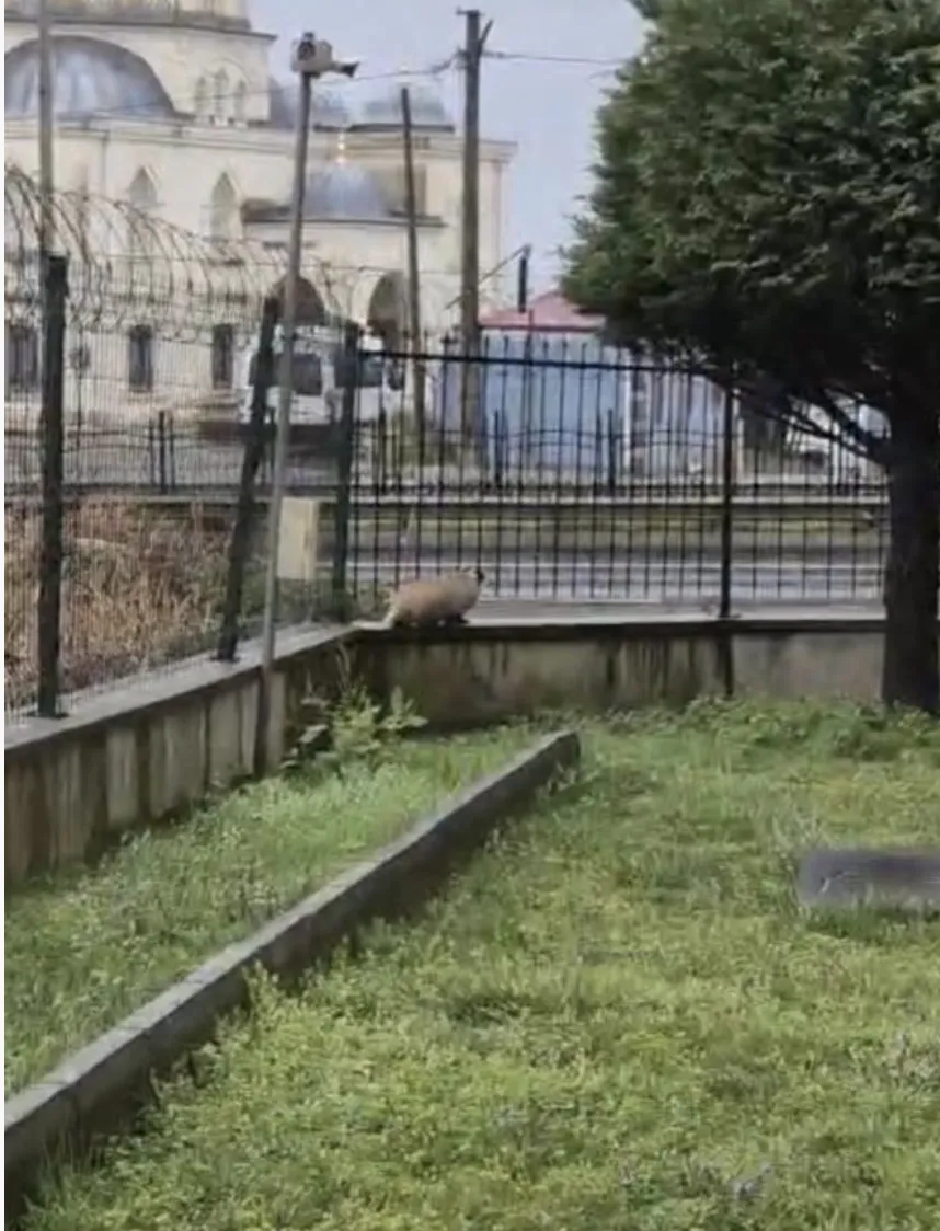 Ekran Resmi 2026 02 24 102800