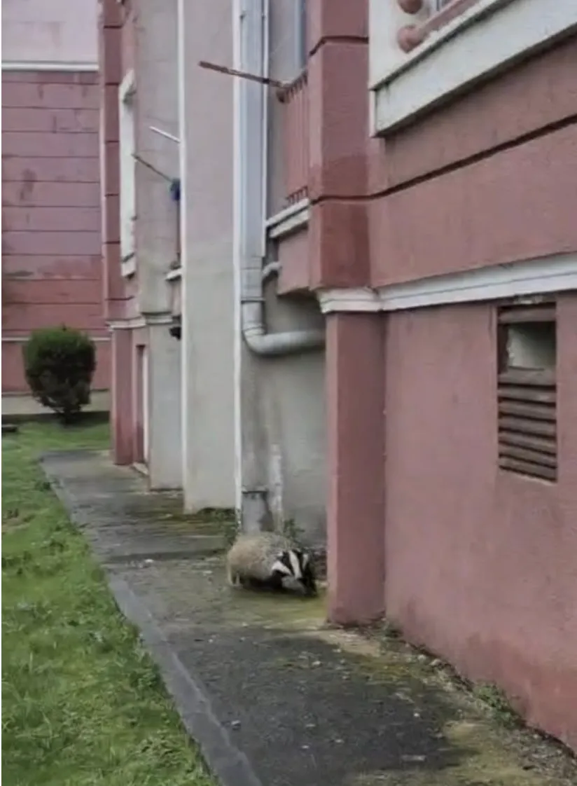 Ekran Resmi 2026 02 24 102803