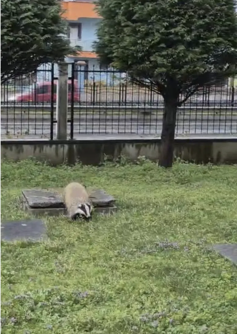 Ekran Resmi 2026 02 24 102808