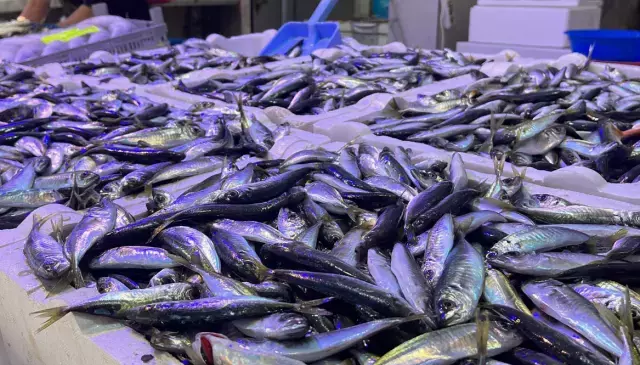 Hamsinin Tahtini Devirdi Iste Sofralarda En Cok 19585755 7937 M