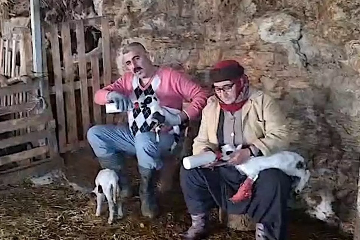 Hobi Olarak 4 Koyunla Baslayan Kardesler 600 19605021 6772 Amp