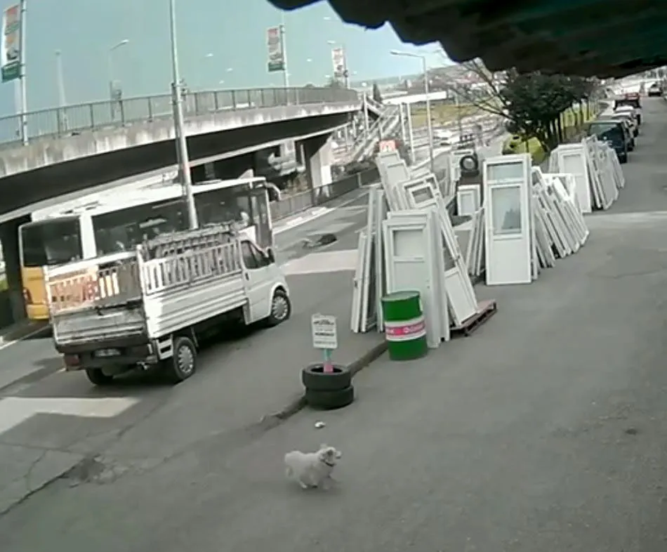 K O P E K T E N K A C A R K E N O T O B U S U N C A R P T I G I U N I V 1176571 349495