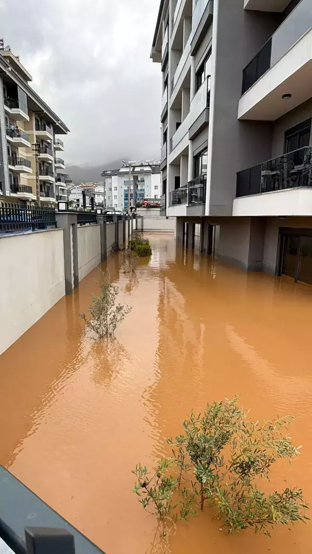 Kenti Sel Aldi Dunyaca Unlu Sahilde Kiyiya Dana 19563298 4902 M