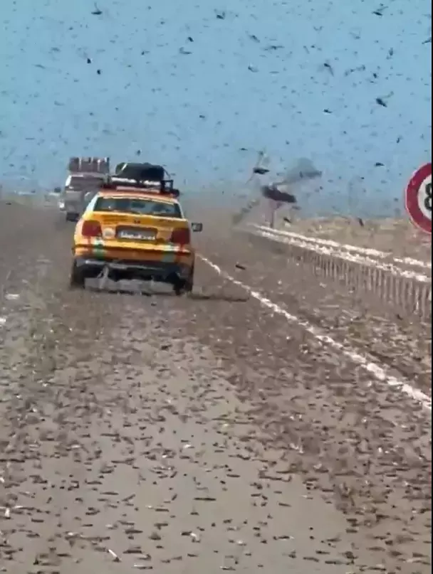 Kiymet Alameti Gibi Dev Cekirge Surusu Otoyolu 19605228 8468 M