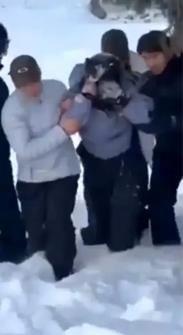 Leoparla Selfie Cekmek Istedi Olumden Son And 19527827 O