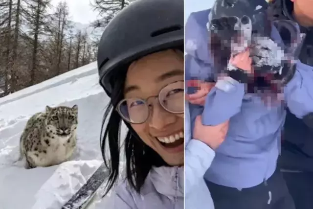 Leoparla Selfie Cekmek Istedi Olumden Son Anda 19527827 2495 O