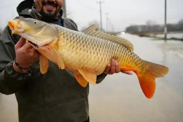 Tarlanin Ortasindan Cikti Tartida Tam 7 Kilo 19552677 4065 M