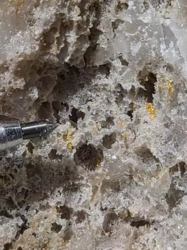 Tum Dunyaya Yetecek Altin Kesfedildi Ulkeyi Ihya 19595853 8897 M