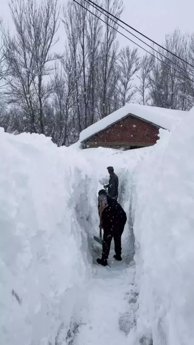 Tunceli De Kar Kalinligi Insan Boyunu Asti 19607791 2705 M