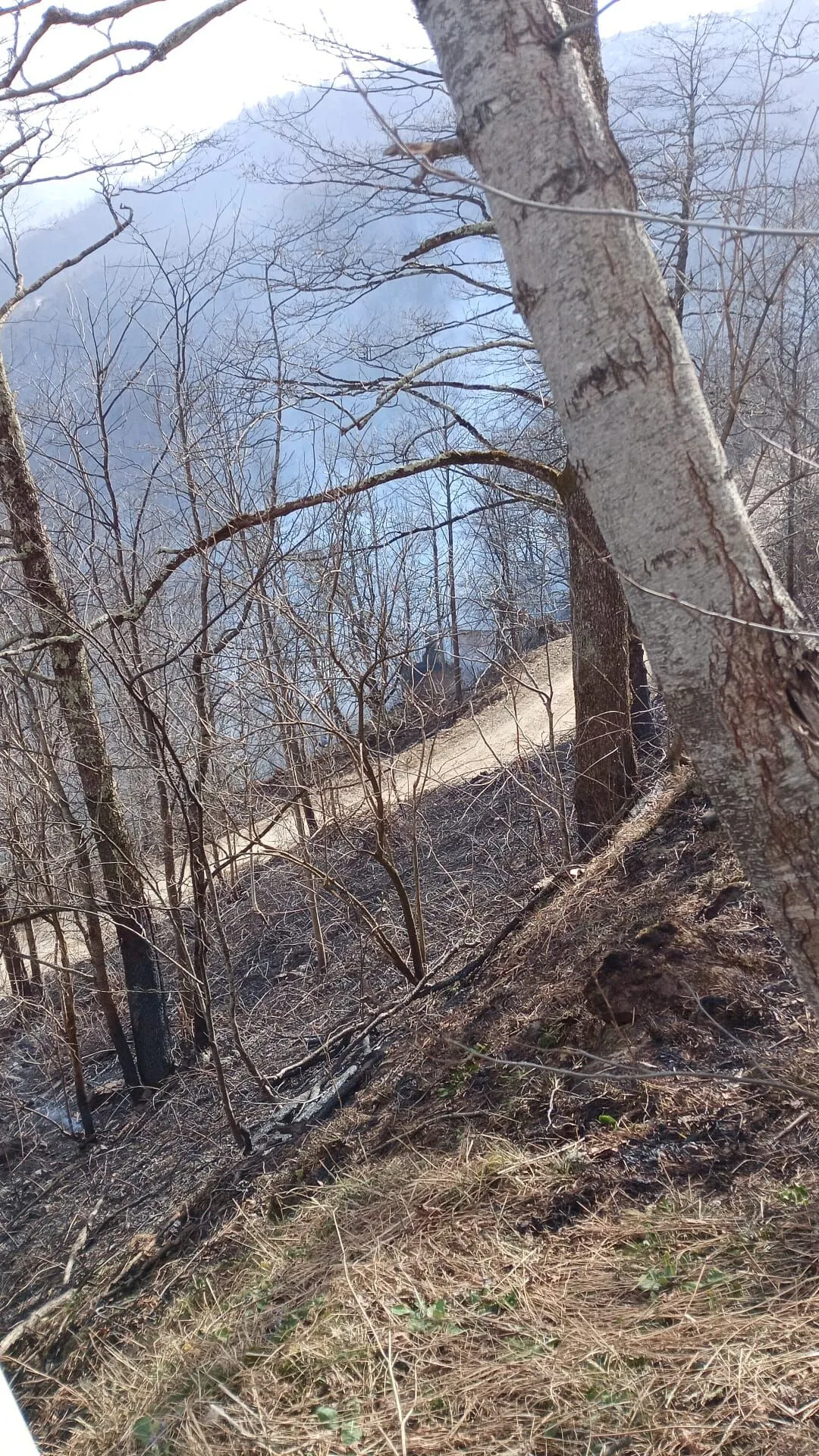 Whatsapp Image 2026 02 18 At 145015 1