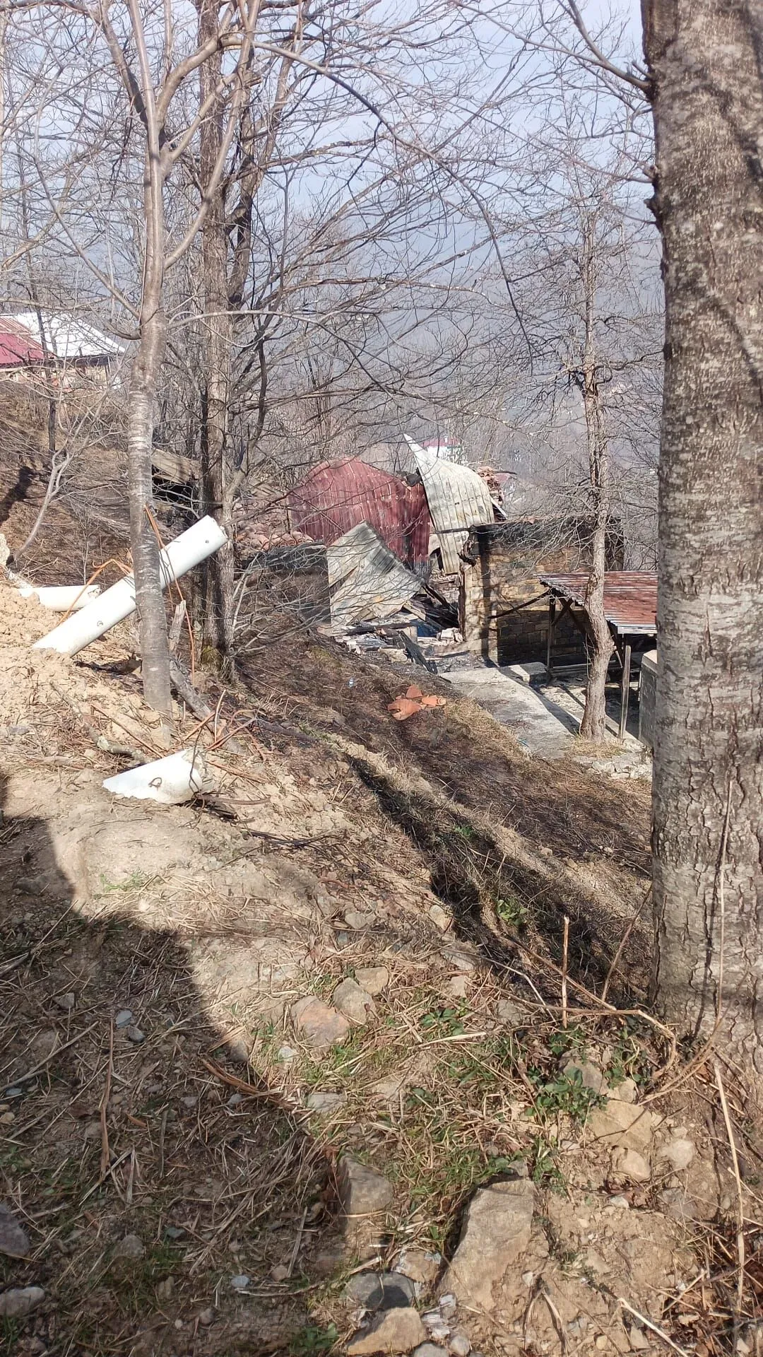 Whatsapp Image 2026 02 18 At 145015 2