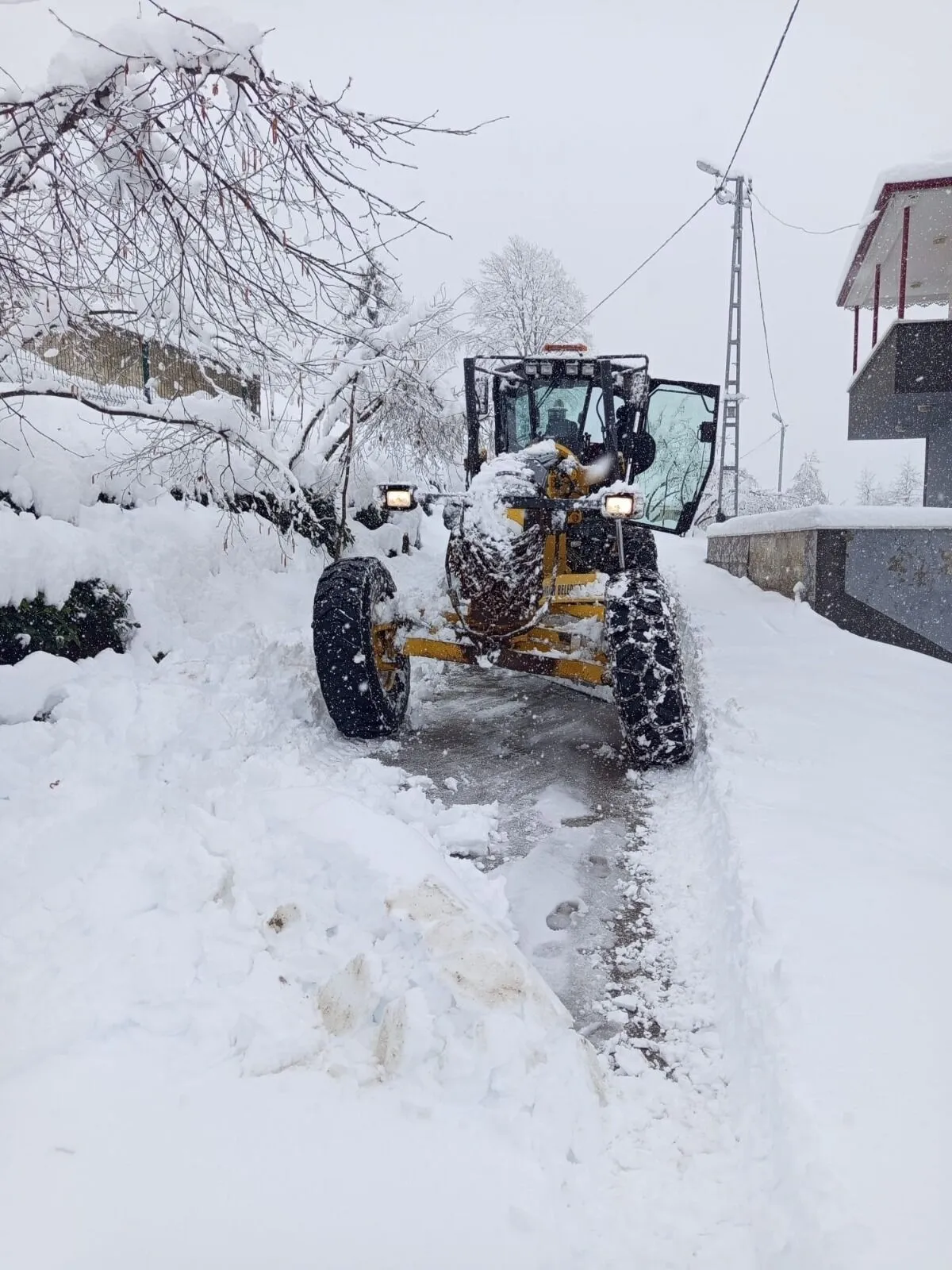 Whatsapp Image 2026 02 26 At 165744