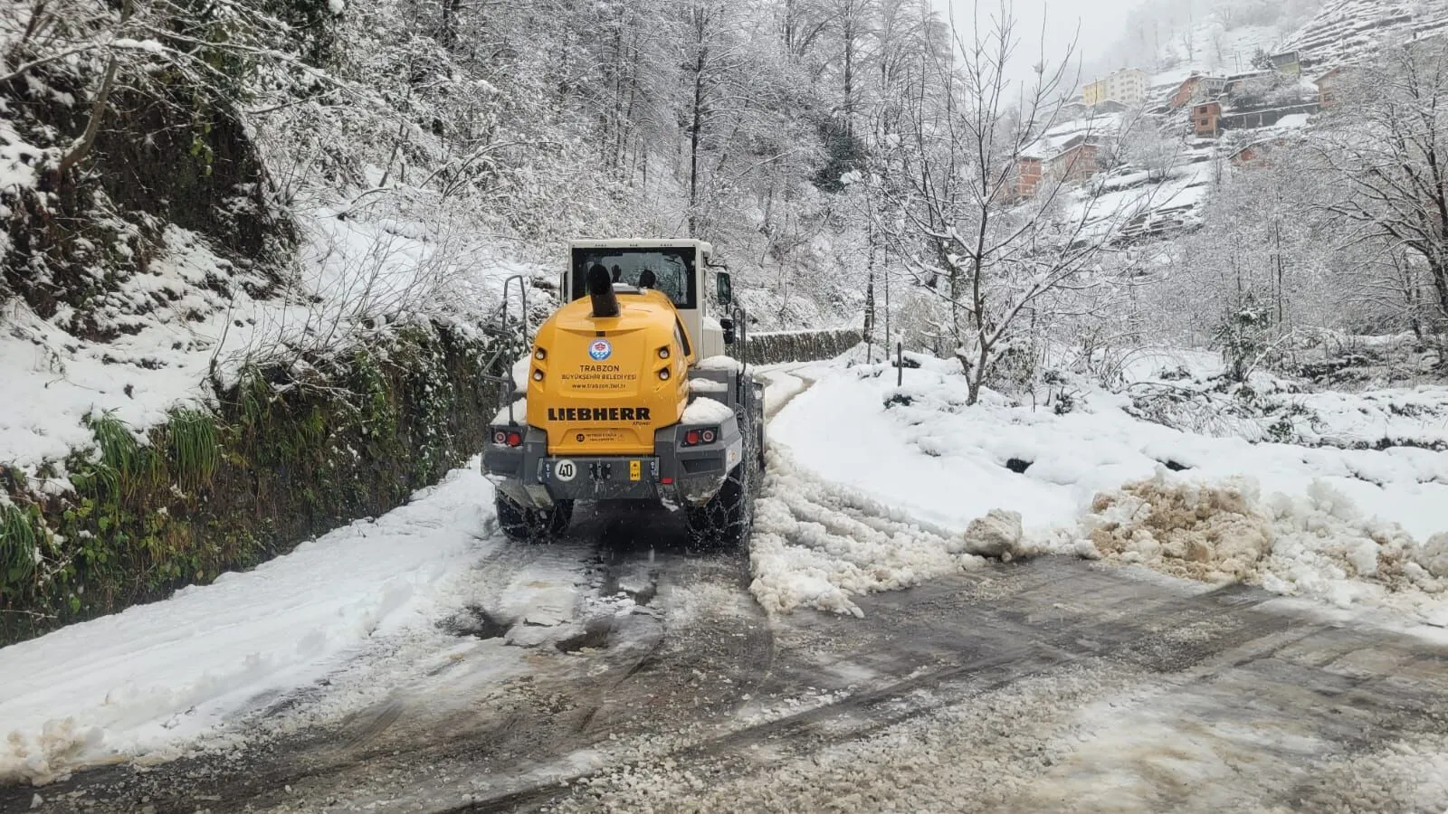 Whatsapp Image 2026 02 27 At 103458