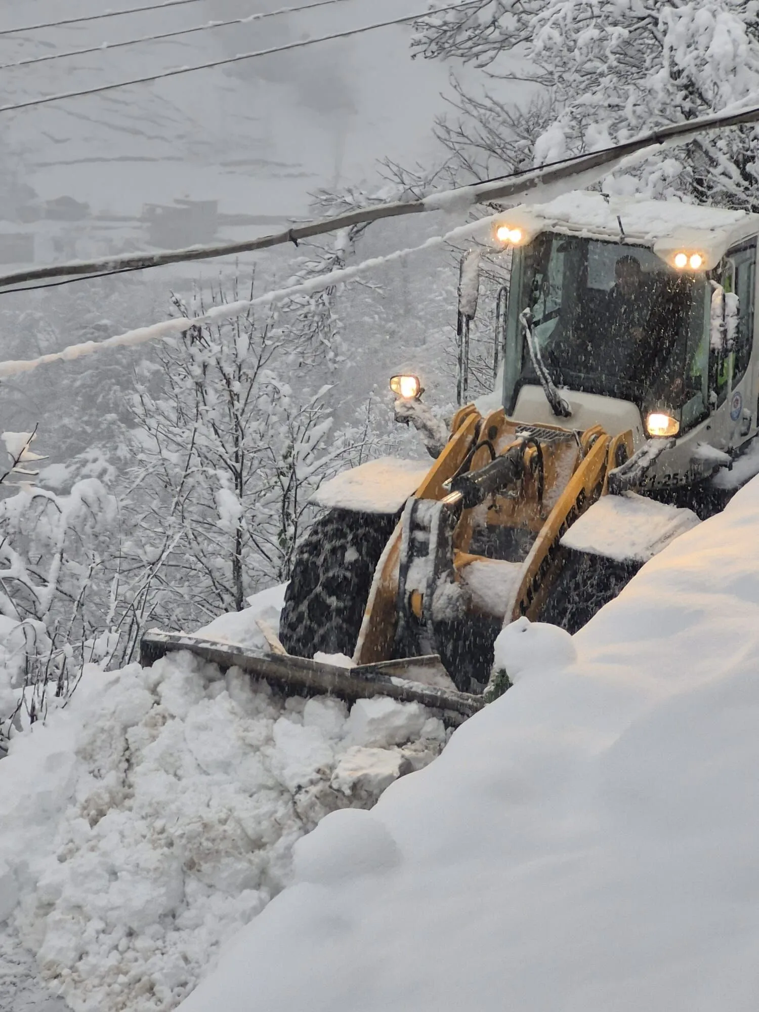 Whatsapp Image 2026 02 27 At 103459