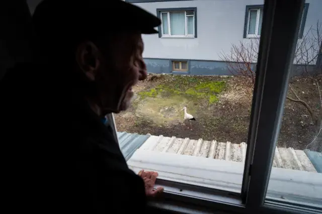 Yaren Leylek Geldi Buyuk Bulusma Gerceklesti 19606859 9302 M