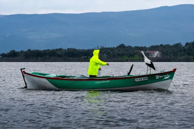 Yaren Leylek Geldi Buyuk Bulusma Gerceklesti 19606859 9620 M