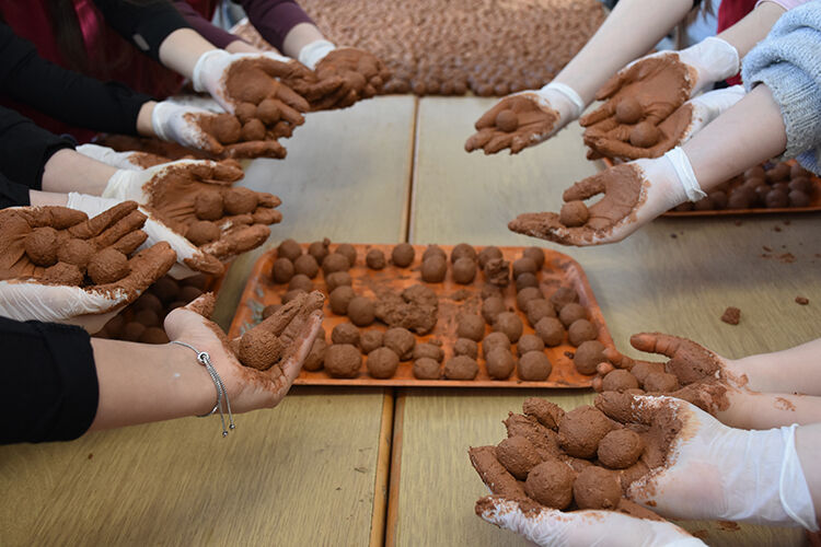 2026 03 23032026 Tohum1