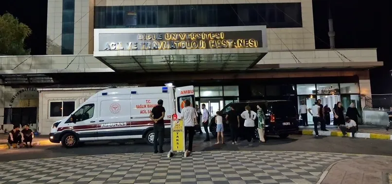 806X378 1774822034410