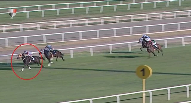 Adana Da Yaris Ati Kavurma Yapilan Is Insanin 2 19656738 O