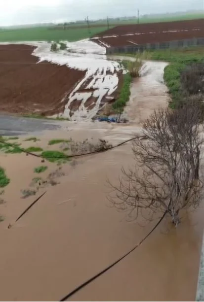 Afet Dunyanin En Uzun Adami Da Vurdu 19680902 8347 M