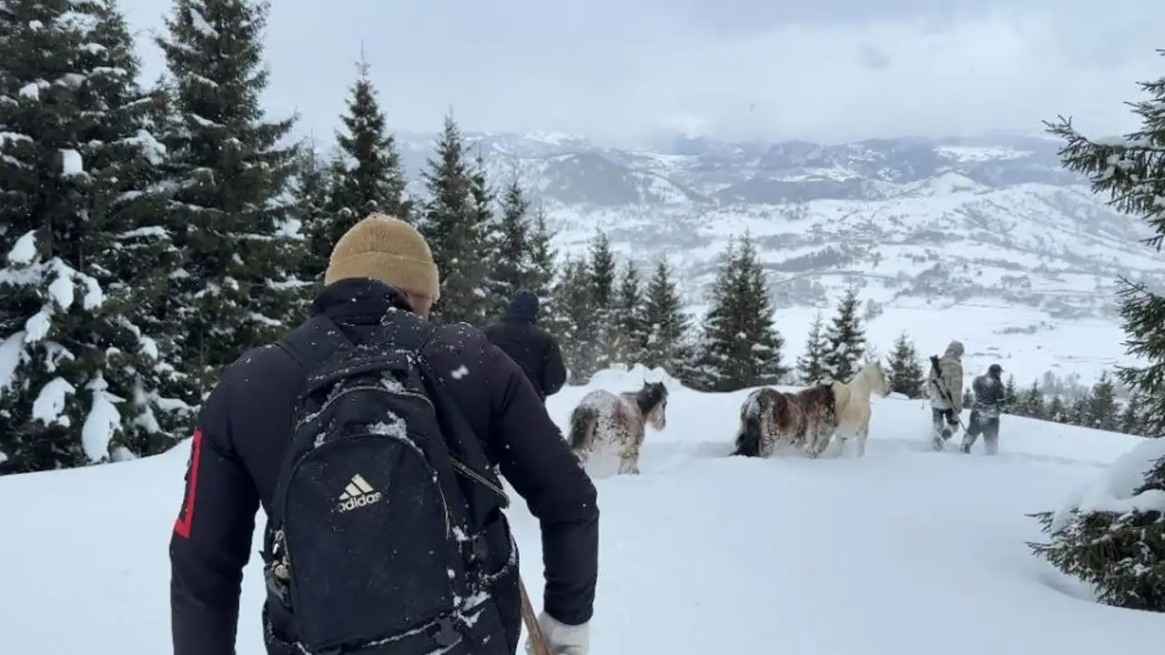 Artvinde 3 Aydir Kayip Olan Atlar Genclerin Cabasiyla Kurtarildi 002