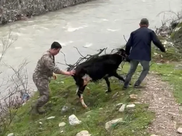 Basrolde Polis Memuru Var Siir 19692364 4391 2 M