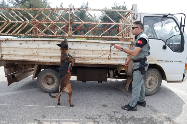 Bodrum A Bir Gunde 25 Bin Arac Giris Yapti 19672166 222 M