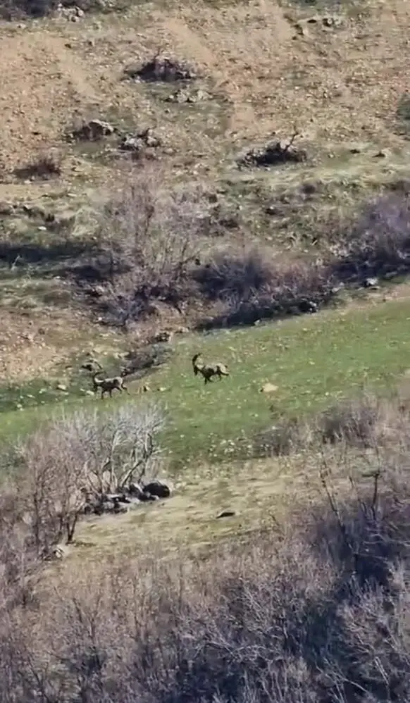 El Surmenin Cezasi 940 Bin Lira Suru Halinde 19627033 6233 M