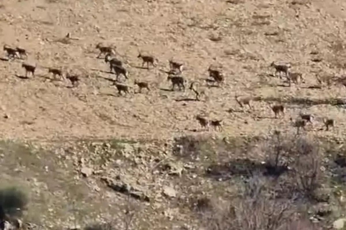 El Surmenin Cezasi 940 Bin Lira Suru Halinde 19627033 8204 Amp