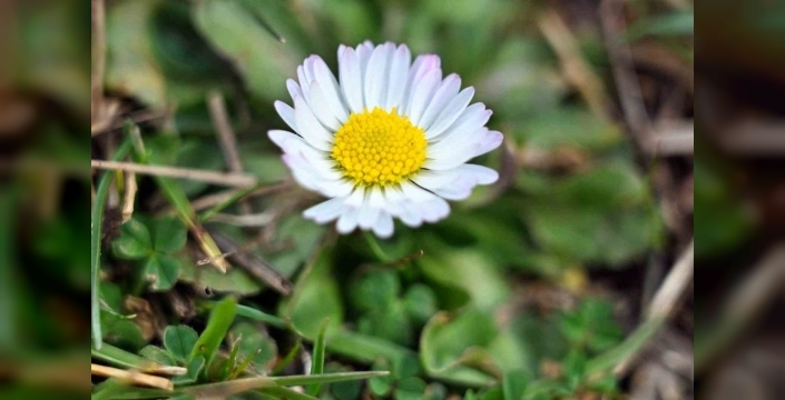 Gumushane De Bahar Ve Kisin Renkli Bulusmasi 1774245957