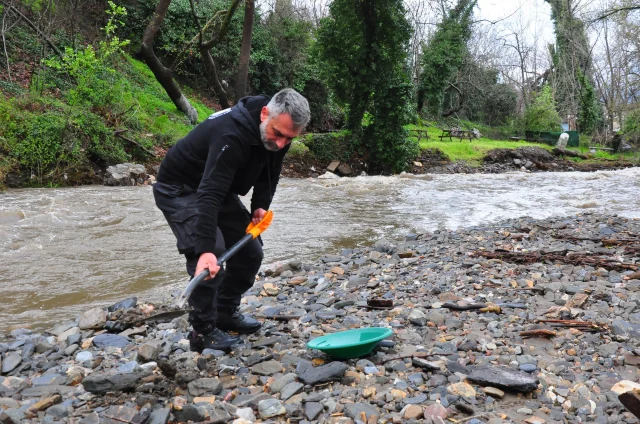 Sosyal Medyada Toplanan Altin 19697279 4131 5 M