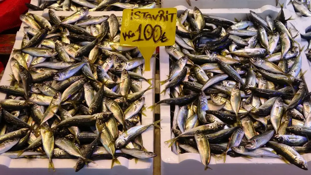 Trabzonda Hamsi Tezgahlardan Cekildi 6 Ay Sonra Ilk Kez Gorulmedi