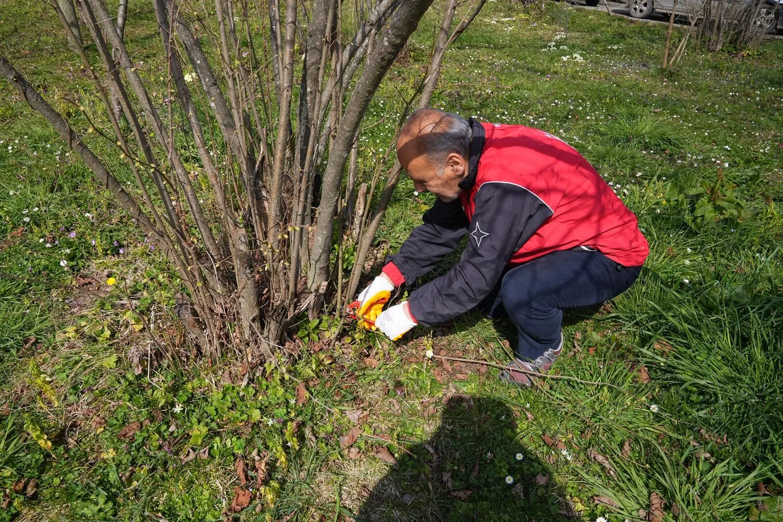 Whatsapp Image 2026 03 12 At 112457 1