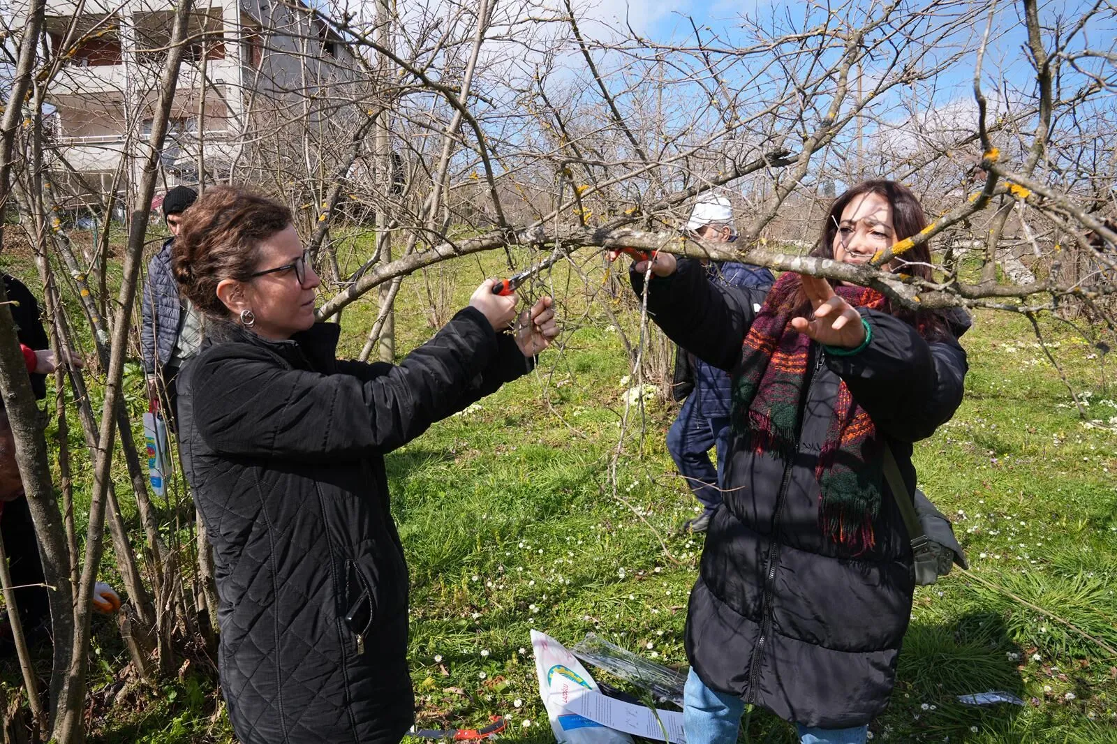 Whatsapp Image 2026 03 12 At 112457