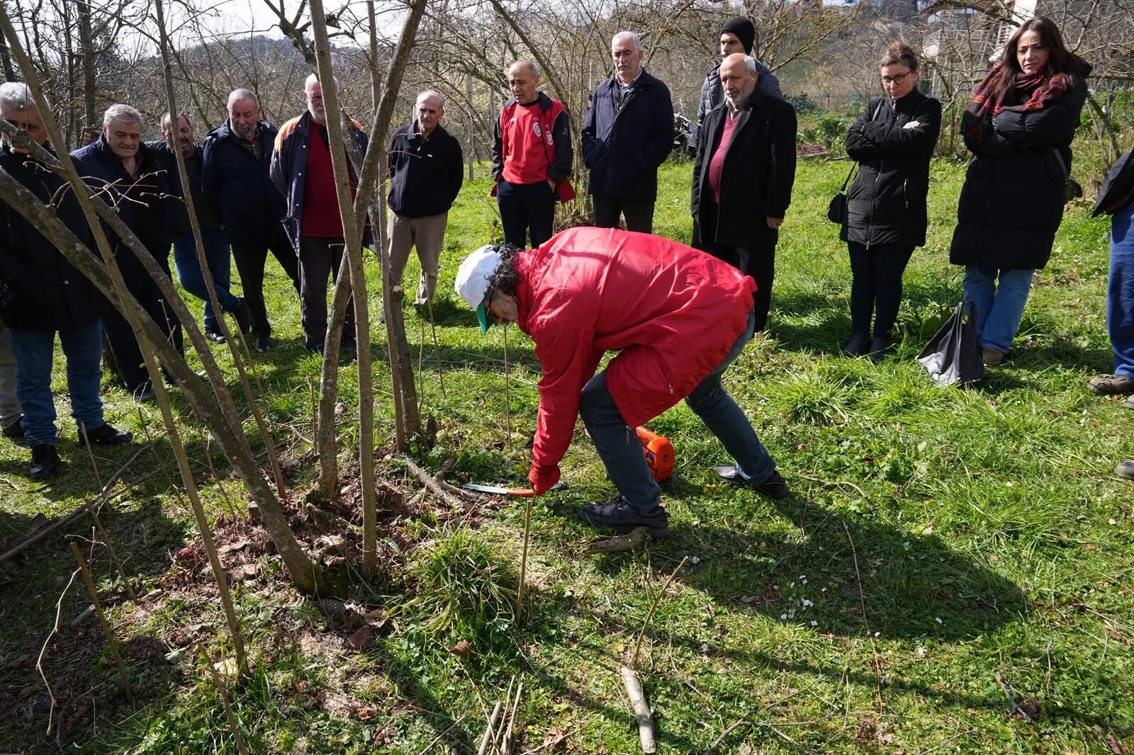 Whatsapp Image 2026 03 12 At 112458