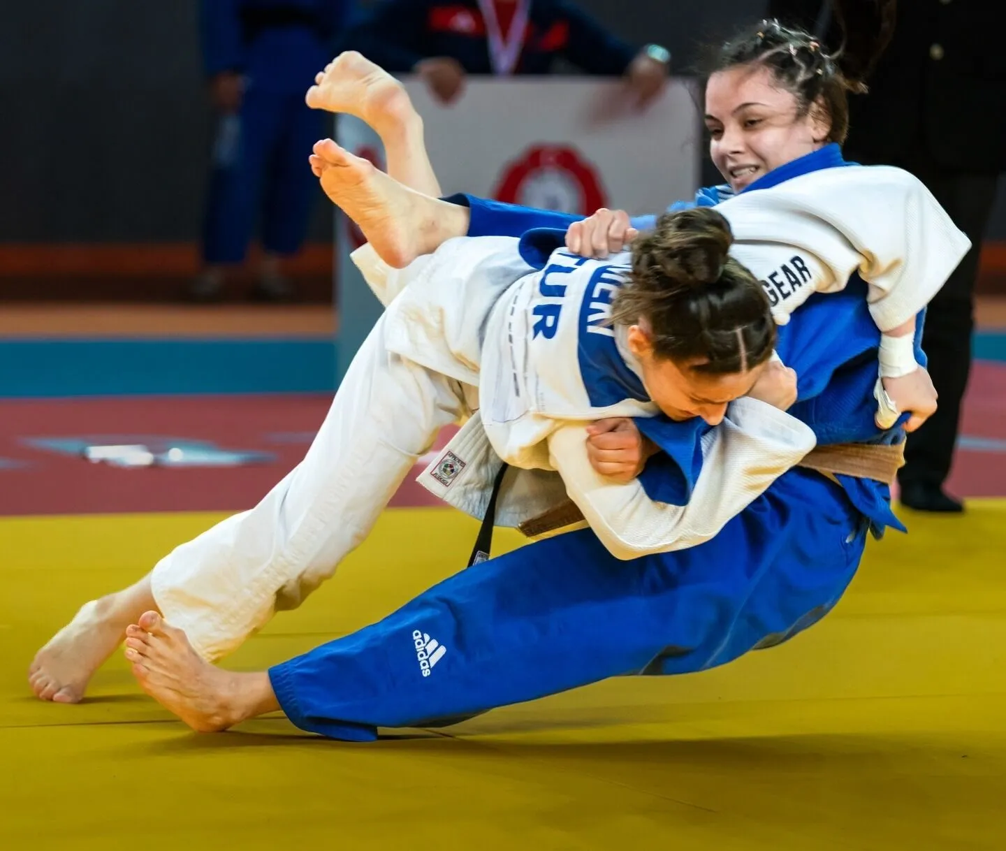 Whatsapp Image 2026 03 30 At 110707