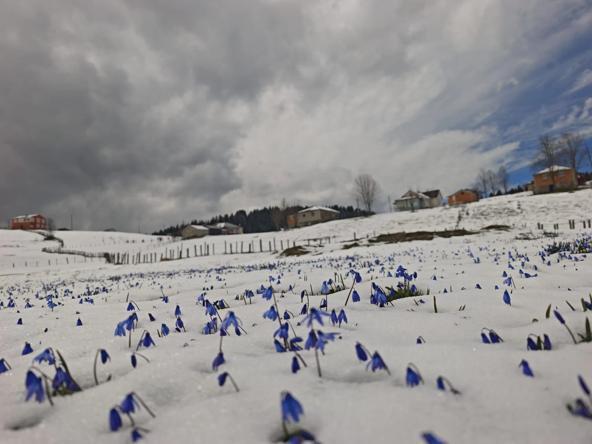 A A 20260409 41061675 41061673 T R A B Z O N V E C E V R E I L L E R I N Z I R V E L E R I B E Y A Z A B U R U N D U