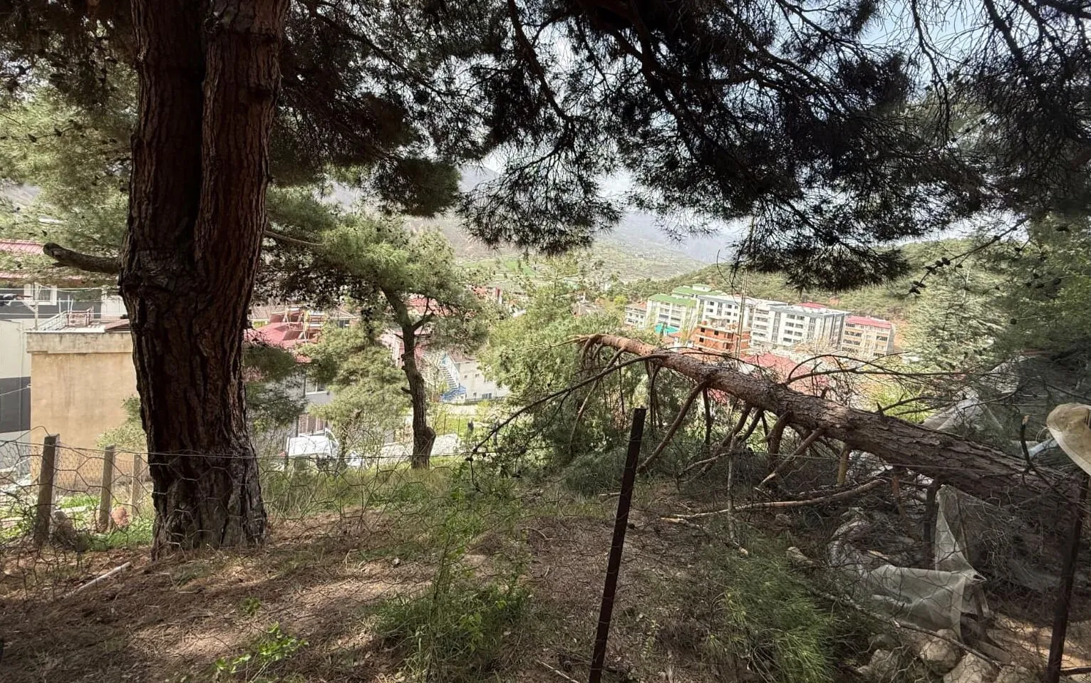 A A 20260421 41171163 41171162 T O K A T T A H E Y E L A N N E D E N I Y L E 7 B I N A B O S A L T I L D I