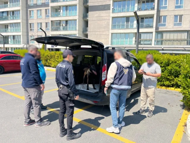 Avcilarda Kopege Acimasizca Is 19781259 2047 1 M