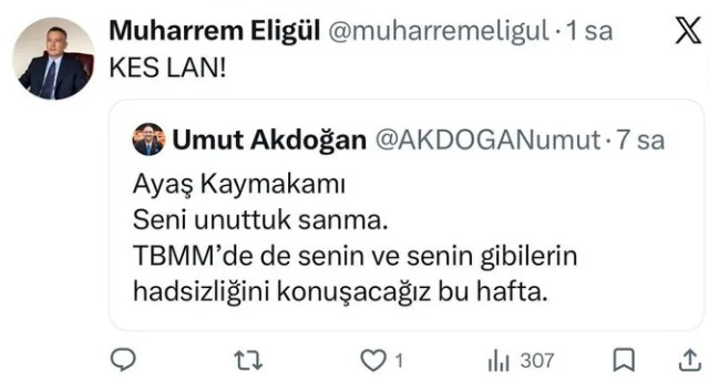 Ayas Kaymakami Eligulden Mille 19785711 5753 1 M
