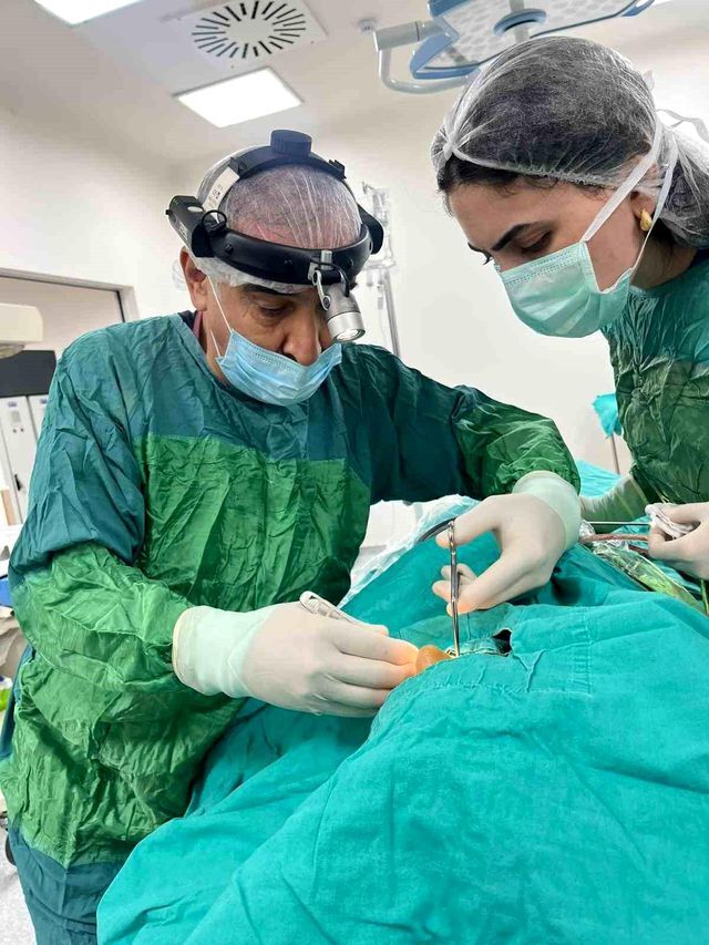 Burun Tikanikligi Ve Isitme Kaybi Sikayetiyle 5 19782285 O