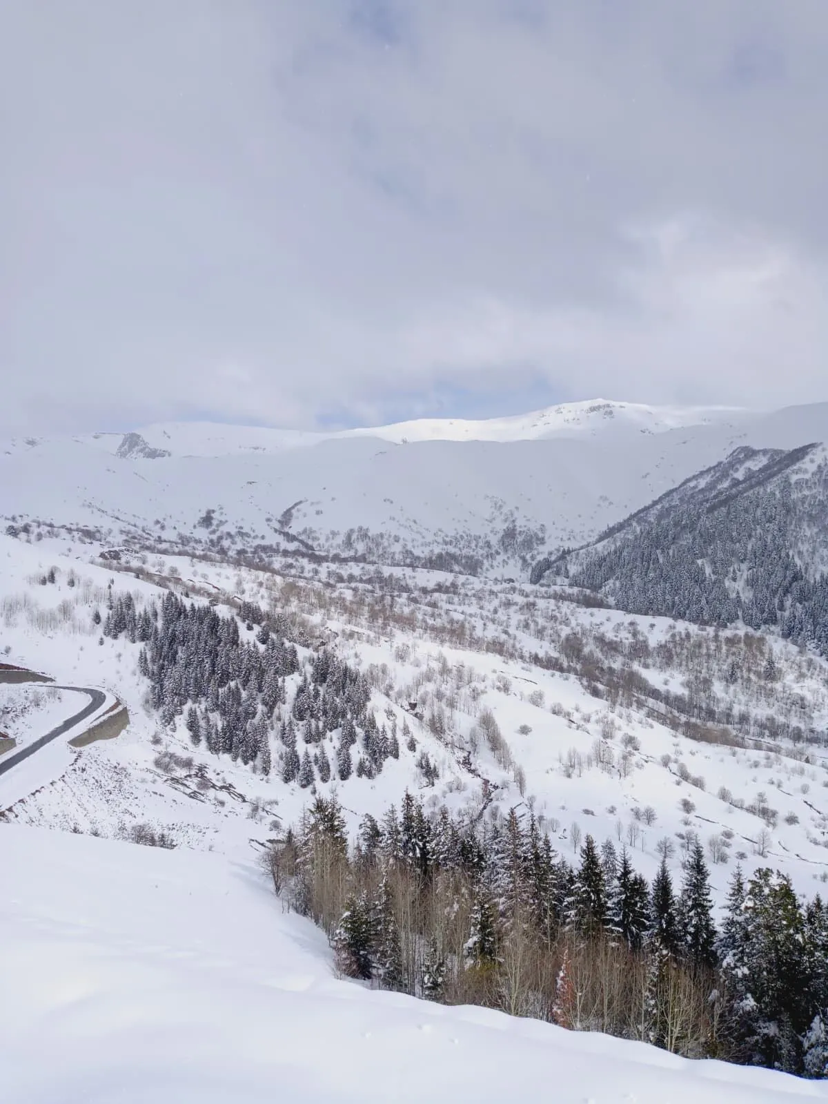 D O G U K A R A D E N I Z D E N I S A N A Y I N D A K A R Y A G D I 1254128 373221