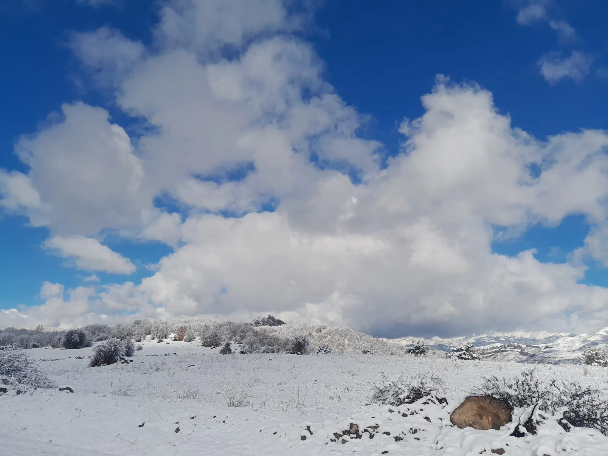 D O G U K A R A D E N I Z D E N I S A N A Y I N D A K A R Y A G D I 1254134 373221