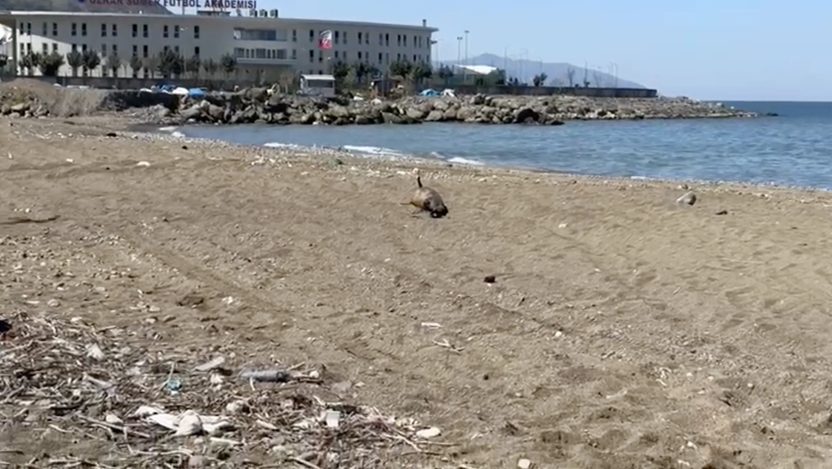 Ekran Resmi 2026 04 21 102405