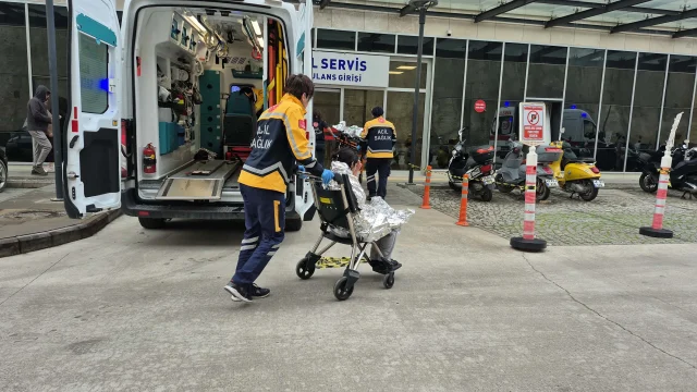 Gocmen Botu Batti 11 Kisi Haya 19705131 1090 3 M