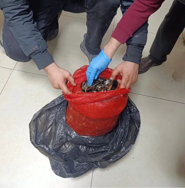 Halk Sagligini Hice Saydilar 1 19742473 1730 1 M