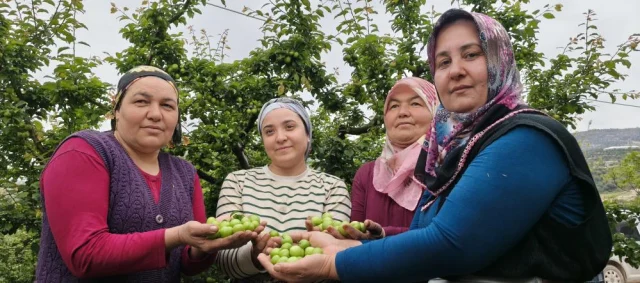 Hasadi Basladi Fiyati 200 Tlye 13E3Cc79E9 7038 1 M